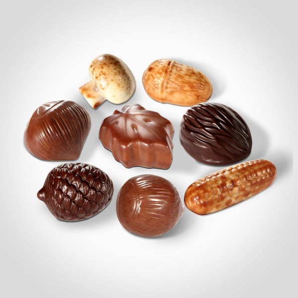 Chocolat-fourre-au-praline